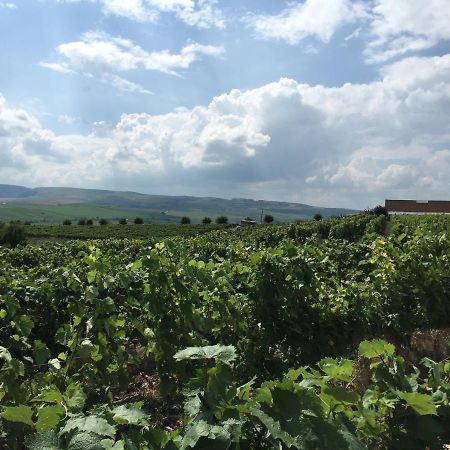 Wineyards Salin Bed & Breakfast Turda Bagian luar foto