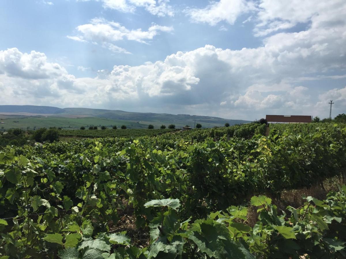 Wineyards Salin Bed & Breakfast Turda Bagian luar foto