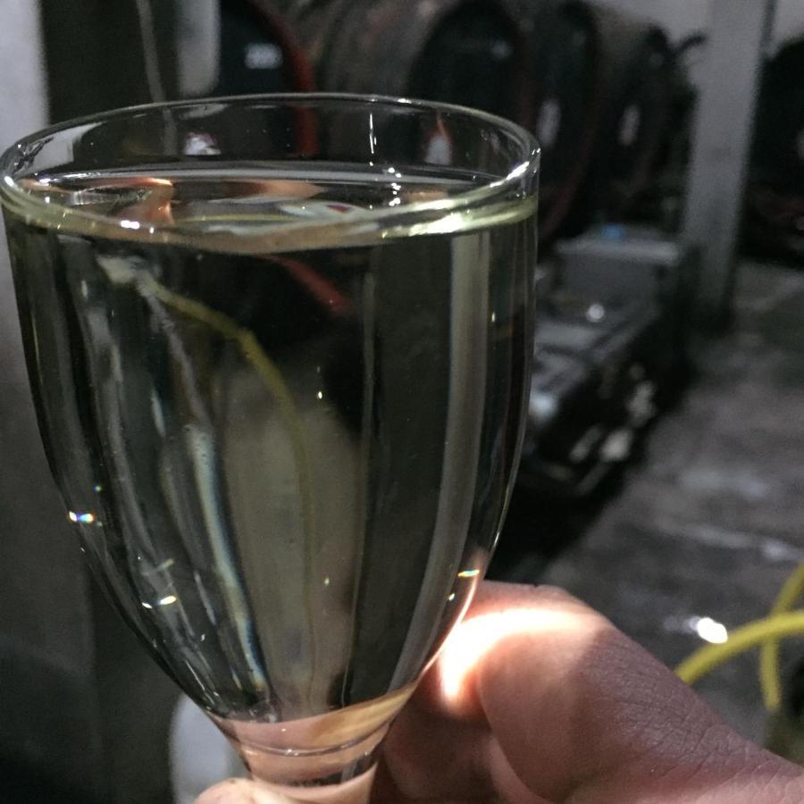 Wineyards Salin Bed & Breakfast Turda Bagian luar foto