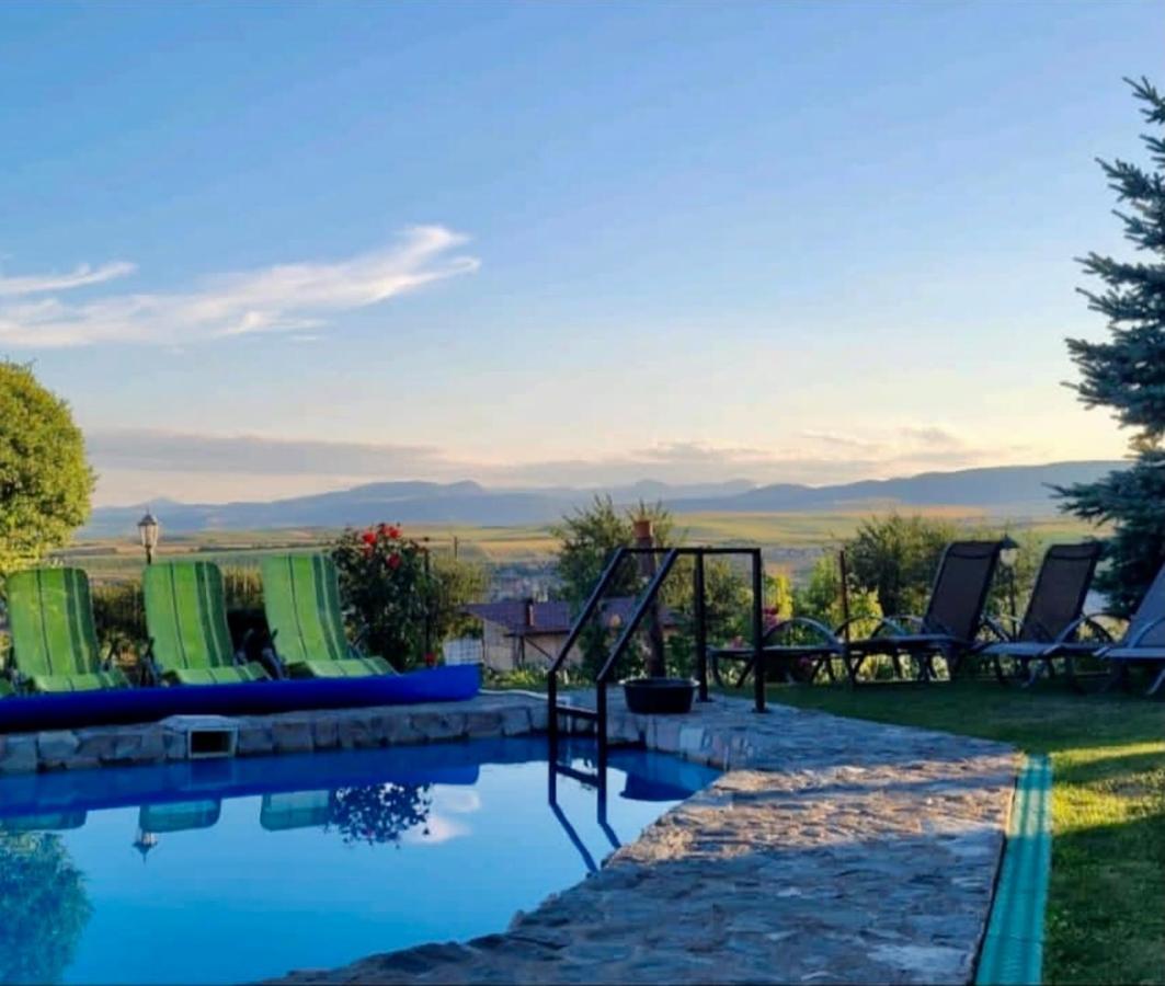 Wineyards Salin Bed & Breakfast Turda Bagian luar foto