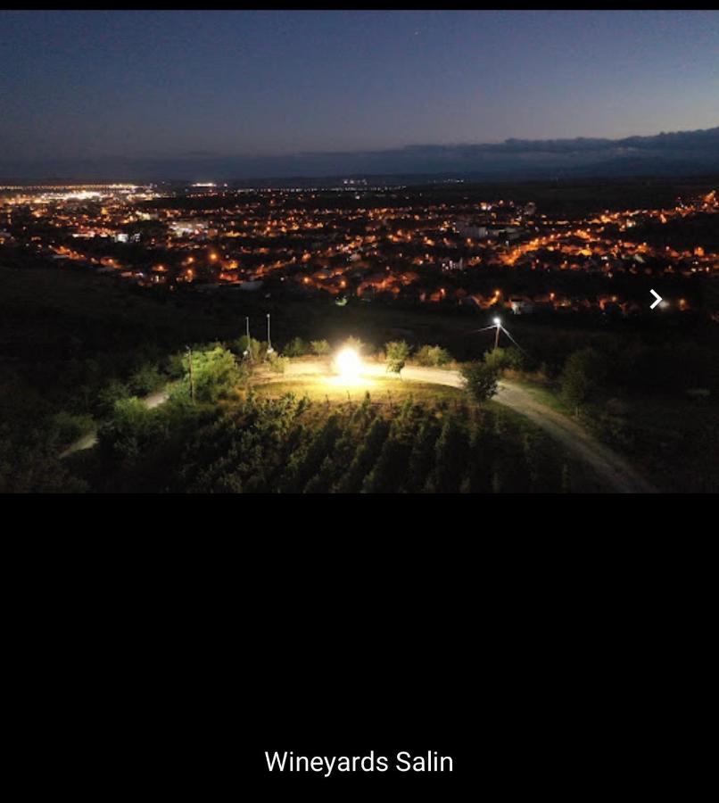 Wineyards Salin Bed & Breakfast Turda Bagian luar foto