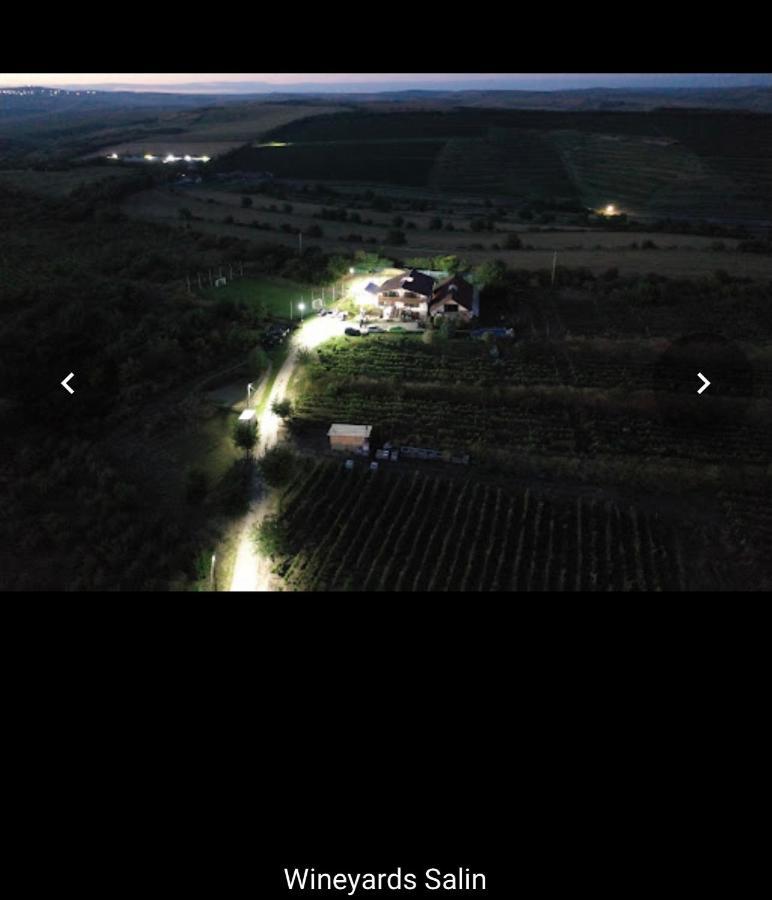 Wineyards Salin Bed & Breakfast Turda Bagian luar foto