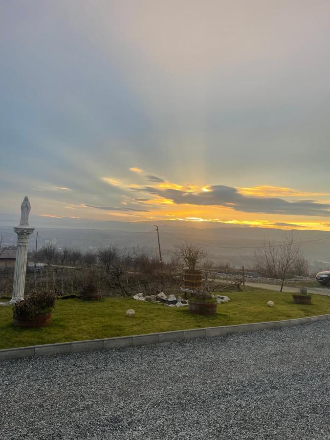 Wineyards Salin Bed & Breakfast Turda Bagian luar foto