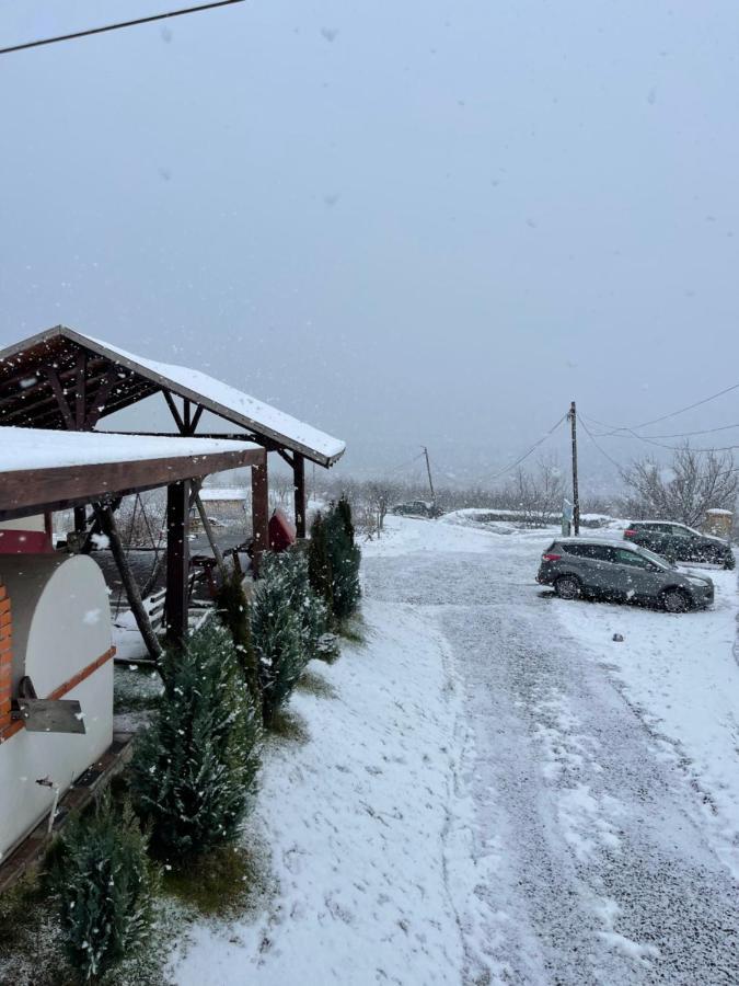 Wineyards Salin Bed & Breakfast Turda Bagian luar foto