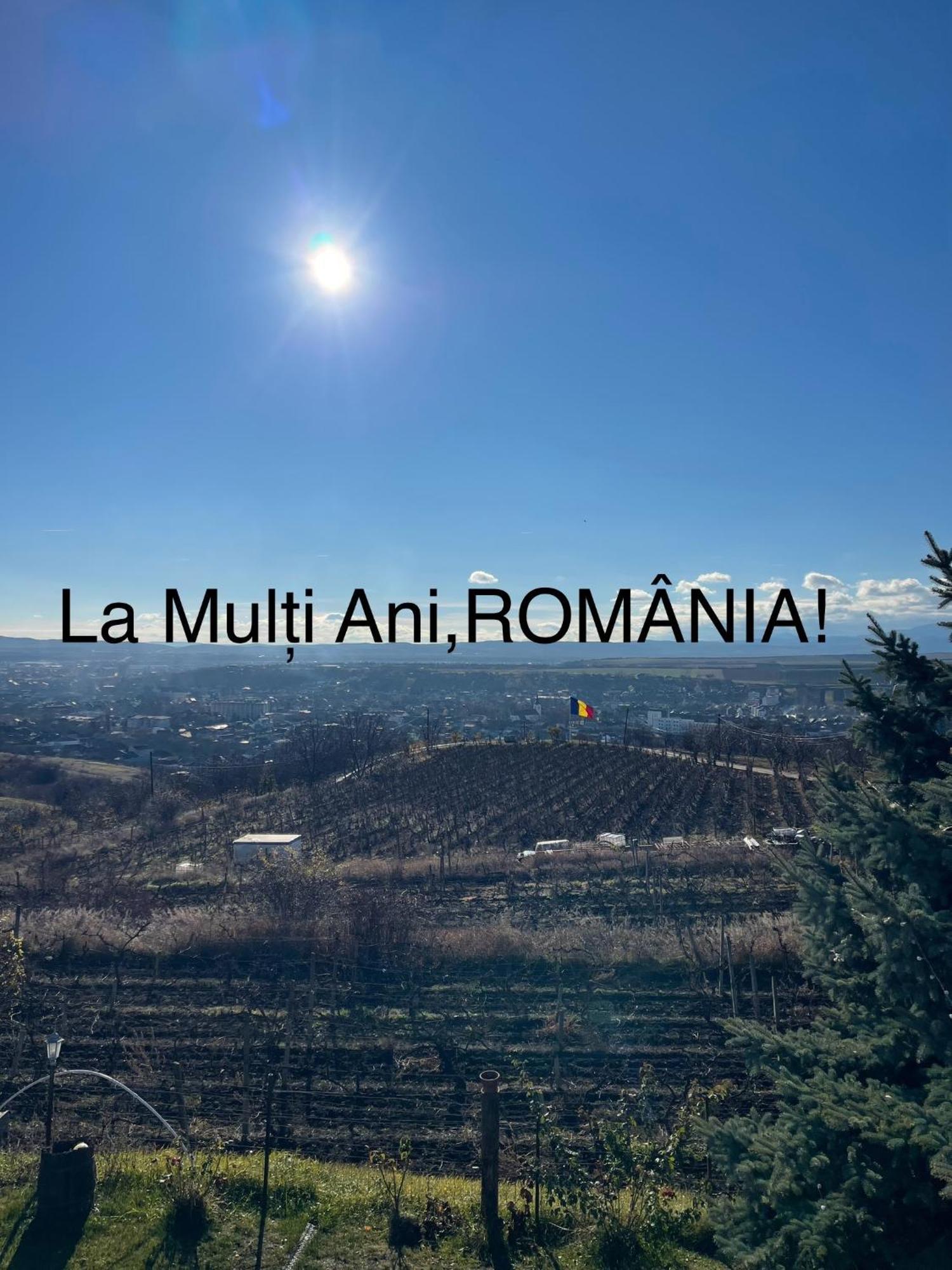 Wineyards Salin Bed & Breakfast Turda Bagian luar foto